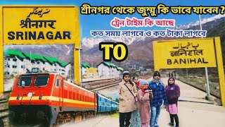 মাত্র ৩০ দিয়ে পাহাড়ী সৌন্দর্য উপভোগ করুন ll Srinagar To Banihal ll Srinagar To Jummu l Jummu Kashmir [upl. by Ynove]