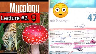 Basic mycology 🛑 LECTURE 2 Chap 47 Difference between fungi and bacteria hyphaeyt Lab diagnosis [upl. by Anoel]