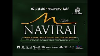 33º Leilão Naviraí [upl. by Troy]