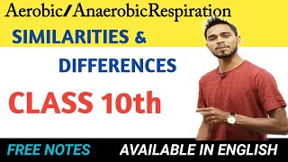 🔥Similarities And Differences Between Aerobic And Anaerobic Respiration  Class 10 th [upl. by Dougie]