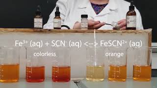 Le Chateliers Principle  Iron III Thiocyanate [upl. by Redliw]