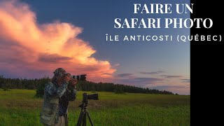 Faire un safari photo  Anticosti [upl. by Ikcaj]