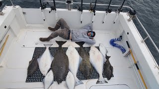 Catch Clean and Cook Alaska Halibut  First Halibut of the 2022 season [upl. by Mellisent]