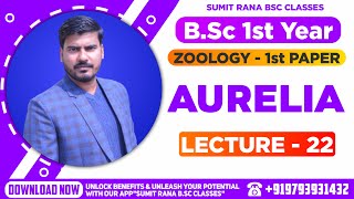 Lt22 Aurelia Part  1  Zoology 1st Paper  BSc 1st Year [upl. by Southard]