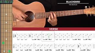 Blackbird Guitar Cover The Beatles 🎸Tabs  Chords [upl. by Loggins814]