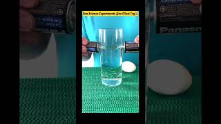 Fun Science Experiments You Must Try at Home  shorts [upl. by Sivartal]