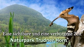 Naturpark Trudner Horn  geosfilm [upl. by Runkel350]