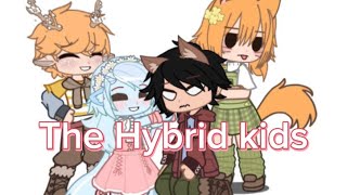 Meet the Hybrid kids  MHA  Fantasy Au x My Au  FtErikodaMahoroKatsuma [upl. by Fifine126]