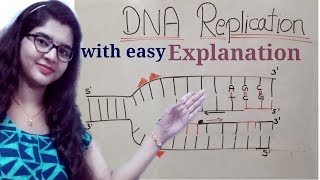 DNA replication in hindi Helicase  leading strand  Lagging strand  Okazaki fragments [upl. by Brader889]