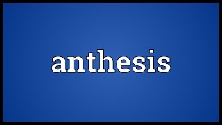 Anthesis Meaning [upl. by Acirem]