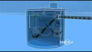 BIOCYCLE TANK ANATOMY 30 [upl. by Akcirred]