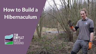 How to build a hibernaculum [upl. by Kaufmann]