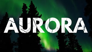 Bears wolves caribou moose and northern lights in Alaska S1E38 [upl. by Atiken]