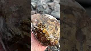 2 billion year old Stromatolite fossil found on frozen Lake Superior beach [upl. by Arnold910]