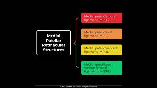 MPFL Medial Patellofemoral Ligament Anatomy MSKMRI JLEE [upl. by Petronille]