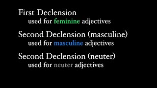 First and Second Declension Adjectives [upl. by Nirred]