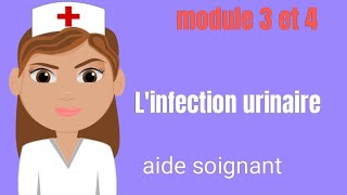 Linfection urinaire  causes  symptômes  complications aidesoignante [upl. by Sedda]