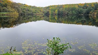 Herbstspaziergang am Oberwaldsee [upl. by Linn]