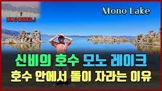 quot신비의 호수 모노 레이크quot 호수 안에서 돌이 자라는 이유 Mono Lake [upl. by Lina461]