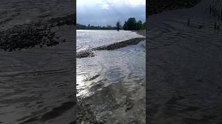 Strandbad Mannheim Hochwasser fließt ab [upl. by Yelrak]