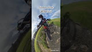 Sanders Park  New MTB Trails  Kids  Auckland  New Zealand [upl. by Ileek]