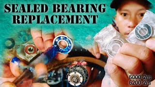 PAANO MAG PALIT NG SEALED BEARING SA REAR HUB DIY  BEARING REPLACEMENT  ProjecTrebs [upl. by Tessler]