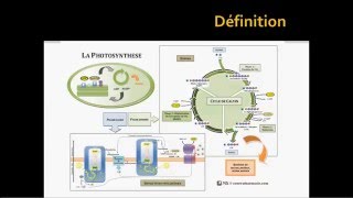 La photosynthèse part 1  généralités [upl. by Brennan131]