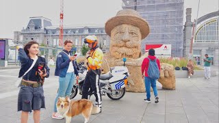 Ostend Belgium 4K Walking Tour  Beach and Seaside  Mixed Seafoods and Driedfish [upl. by Delorenzo]