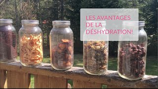 Les avantages de la déshydratation [upl. by Yecad]