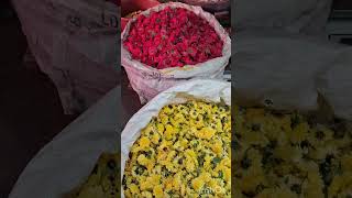 Flower market Tiruvannamalai [upl. by Owades61]