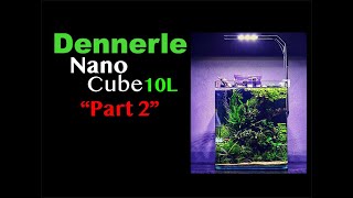 10L  25 Gallon Mini Aquascape I Part 2 I Drystart Completed Dennerle Nano Cube [upl. by Brandise573]