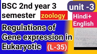 Bsc 2nd year 3semster zoology topic Regulations of gene expression in eukaryotic [upl. by Zeuqcaj]