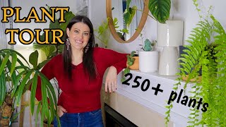 Full Houseplant Home Tour  250 Plants  My Entire Plant Collection [upl. by Yecac]