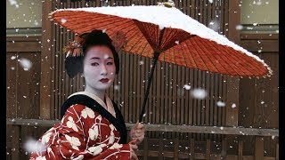 The Secret World Of Geishas [upl. by Lily483]