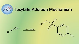 Adding Tosylate Group Mechanism  Organic Chemistry [upl. by Anaidni187]