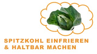 Spitzkohl einfrieren amp haltbar machen Die Anleitung [upl. by Maximilianus]