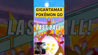 NEW Gigantamax in Pokemon Go Pokemon PokemonGo [upl. by Mariellen]