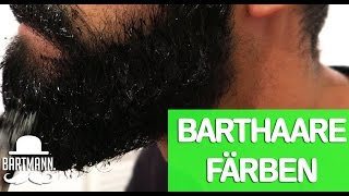 HOWTO  BART FÄRBEN  TÖNEN  BARTMANN [upl. by Afra]