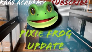 Revamping quotJiraiyaquot The Pixie Frog Enclosure [upl. by Eberto908]