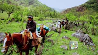 Cabalgata Las Queñuas  Programa Tucumán 200 Años de Historia [upl. by Sregor761]