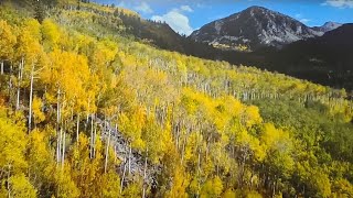 Fall from Above Colorado Aspens in 2024 [upl. by Ettezel351]