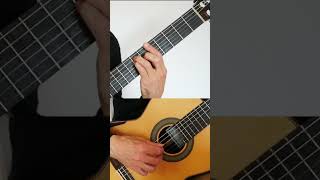 Passacaglia HaendelHalvorsen Guitar [upl. by Chicoine27]