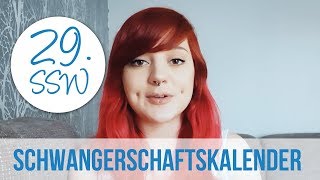 29 SSW Schwangerschaftstagebuch von Angelika [upl. by Estele]