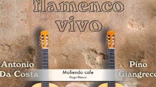 Flamenco Vivo  Moliendo cafe [upl. by Anirda]