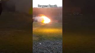 Dragons breath 12ga blackops gunsdaily shoot pewpewlife pewpew [upl. by Rivi444]