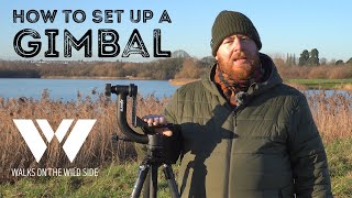 How to set up a gimbal on your tripod Third most important piece of kit for wildlife photographers [upl. by Aihsemek]