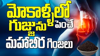 మోకాళ్ళలో గుజ్జును పెంచే మహాబీర గింజలు  Mahabeera Ginjalu  for Knee amp Joint Pains  DrMurali [upl. by Normi436]