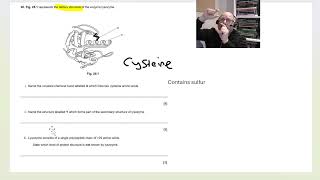 ALevel Biology Protein structure LIVE [upl. by Jackie]