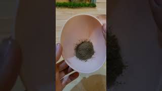 bhringraj powder benefits  hair growth powder ytshorts youtube bhringraj haircare hairgrowth [upl. by Crandale]