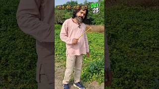 जड़ी बूटी पहचानिये Day  23 pippali chotipippali pippaliplant pippalikapaudha [upl. by Akelam]